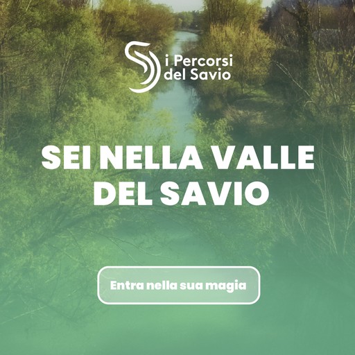 i percorsi del savio banner